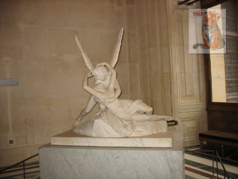 photo19.jpg