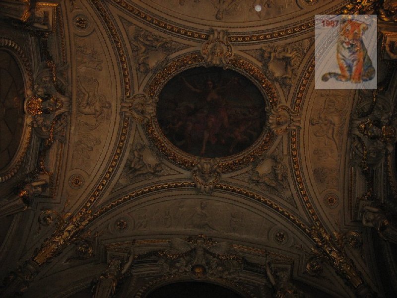 photo6.jpg