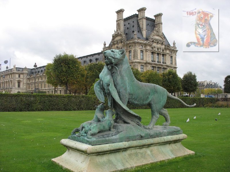 photo86.jpg