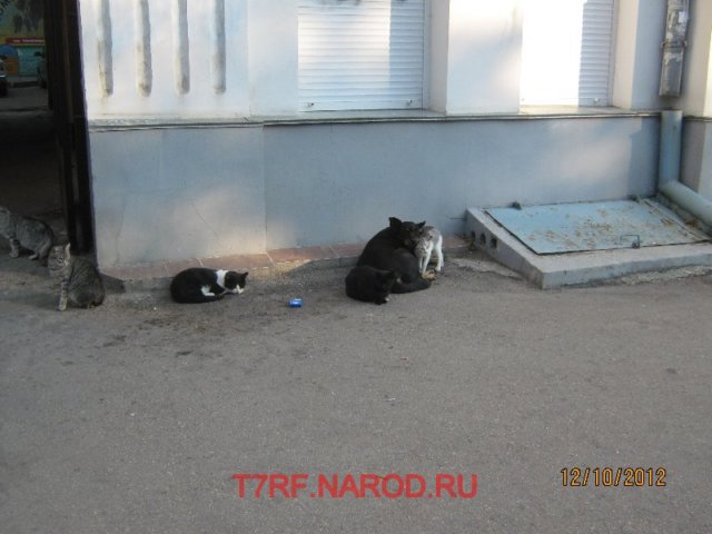 photo41.jpg