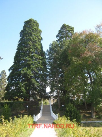 photo.jpg