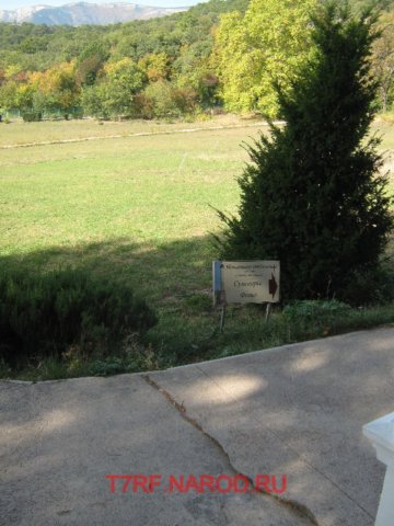 photo12.jpg
