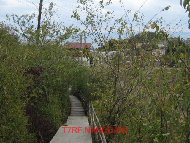 photo.jpg