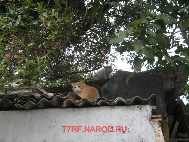 photo23.jpg