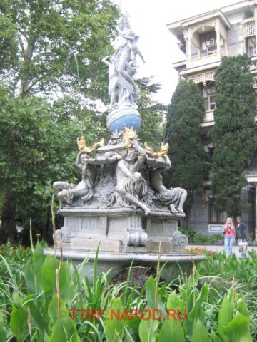 photo40.jpg