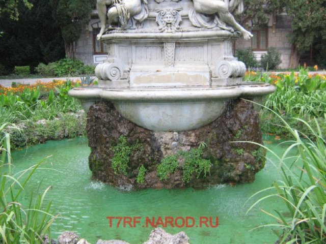 photo41.jpg