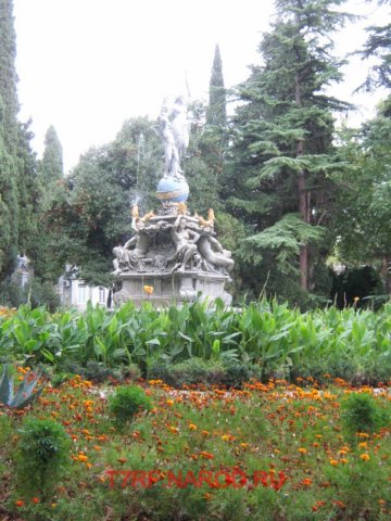 photo46.jpg