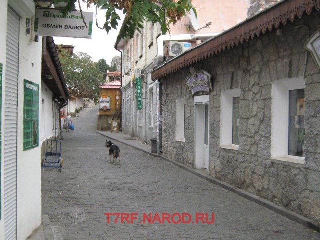 photo5.jpg