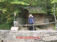 photo100_small.jpg