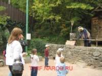 photo102_small.jpg