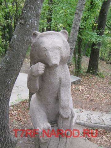 photo26.jpg