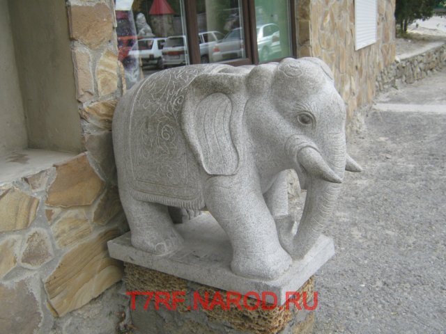 photo41.jpg