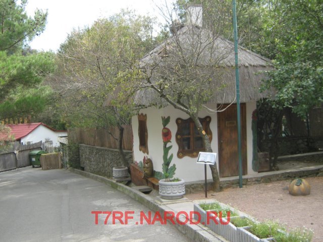 photo46.jpg