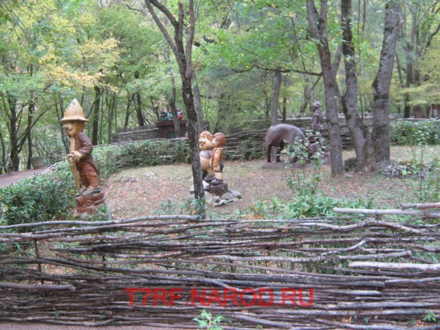 photo7.jpg