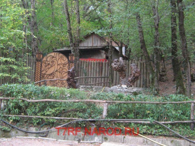photo81.jpg