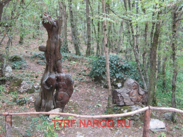 photo86.jpg