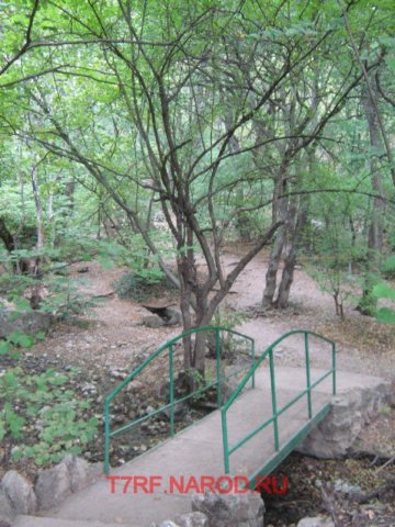 photo14.jpg