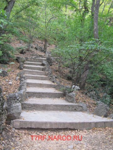 photo15.jpg