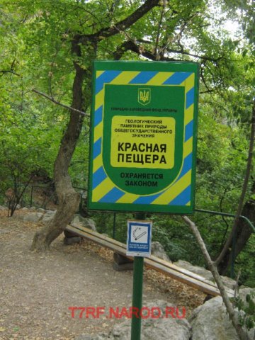 photo16.jpg
