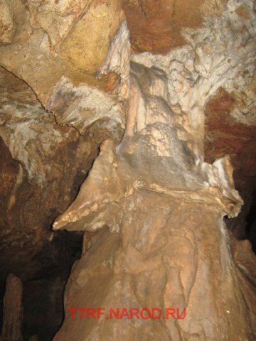 photo29.jpg