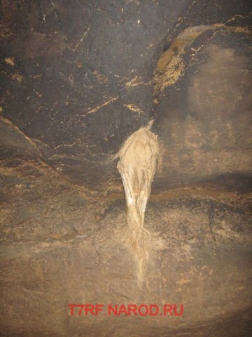 photo42.jpg