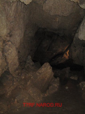 photo49.jpg