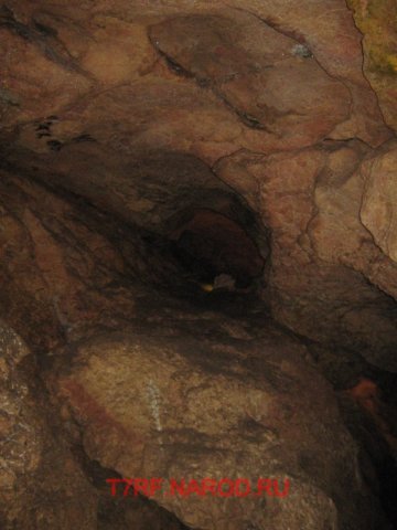 photo55.jpg