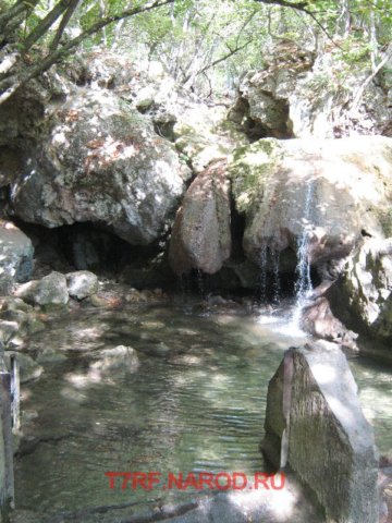 photo65.jpg