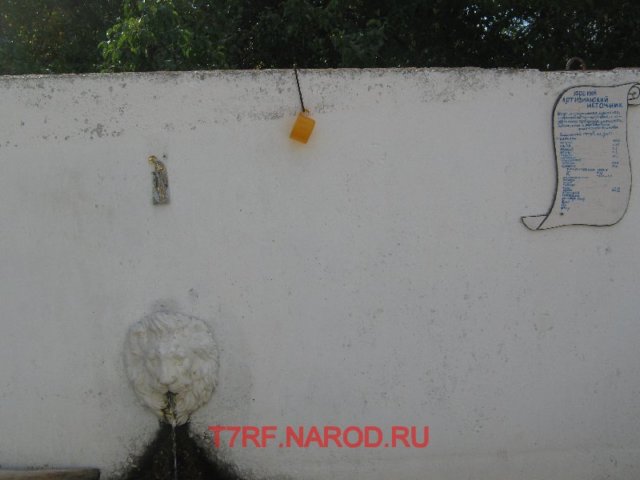 photo71.jpg