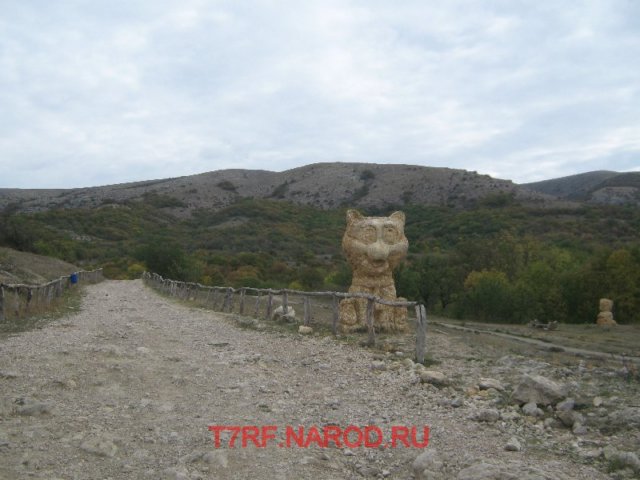 photo9.jpg
