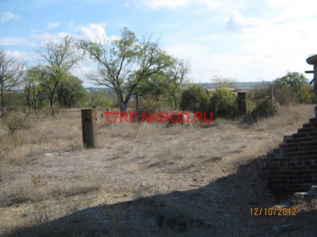 photo26.jpg
