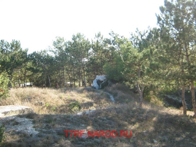 photo2.jpg