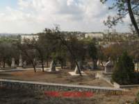 img_8693_small.jpg