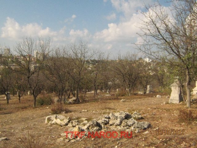 img_8705.jpg