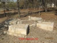 img_8719_small.jpg