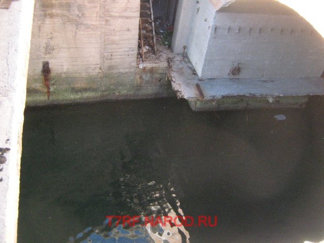 photo21.jpg