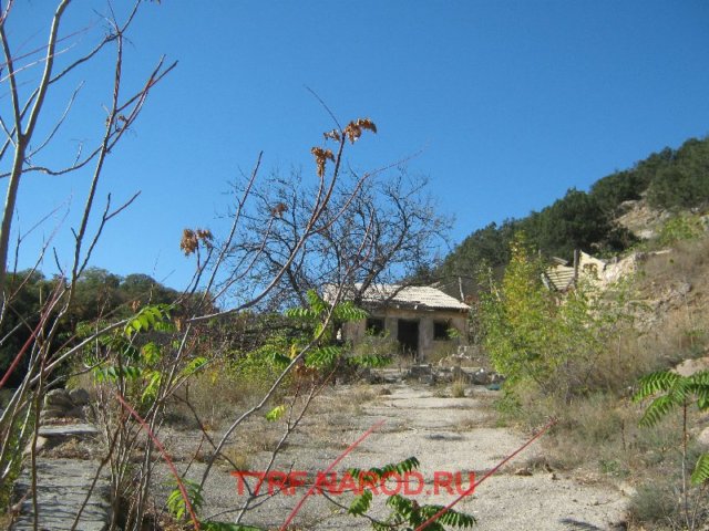 photo32.jpg