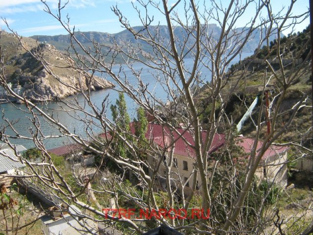 photo37.jpg