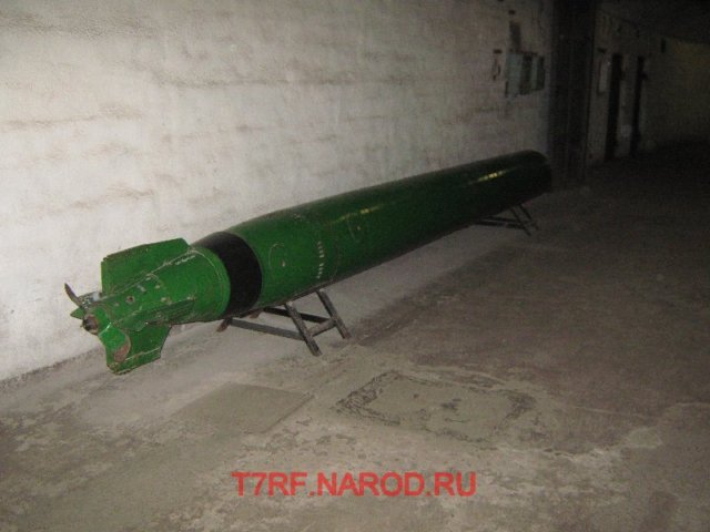 photo100.jpg