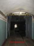 photo118_small.jpg