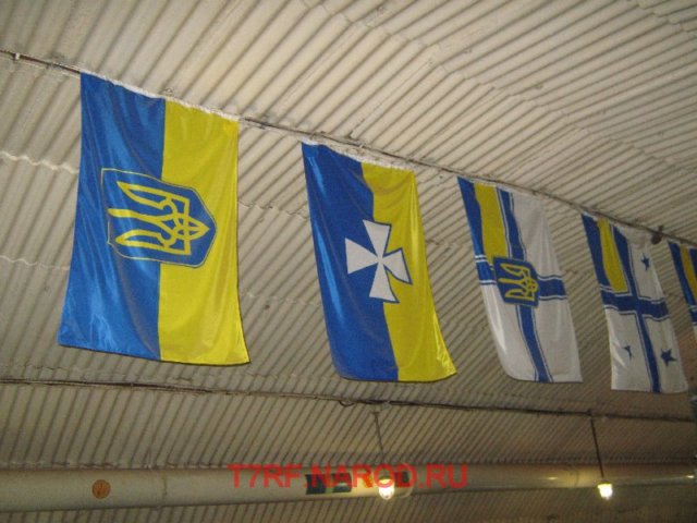 photo45.jpg