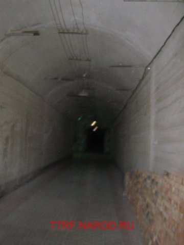 photo79.jpg