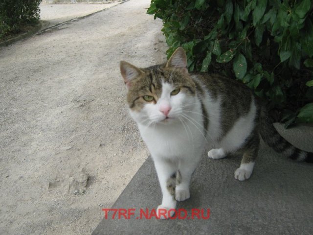 photo.jpg