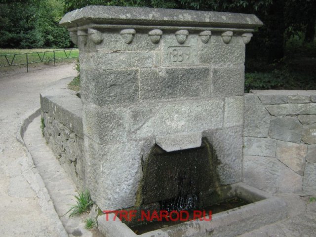 photo27.jpg