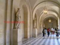 photo158_small.jpg