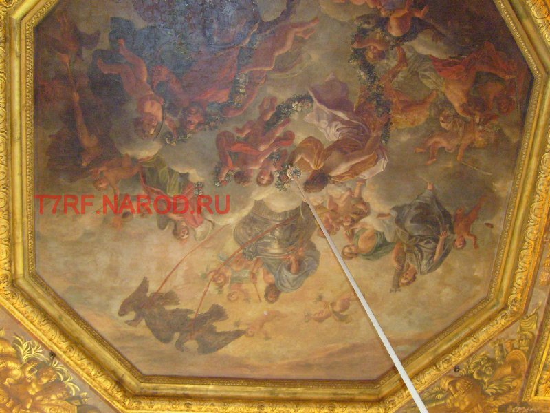 photo43.jpg