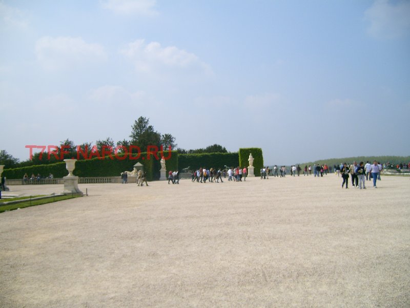 photo63.jpg