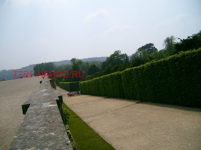 photo67.jpg