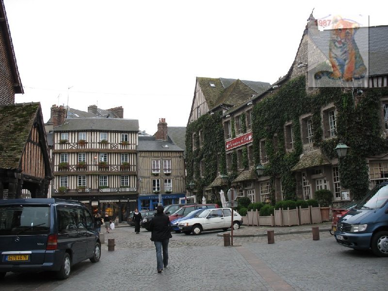 photo15.jpg