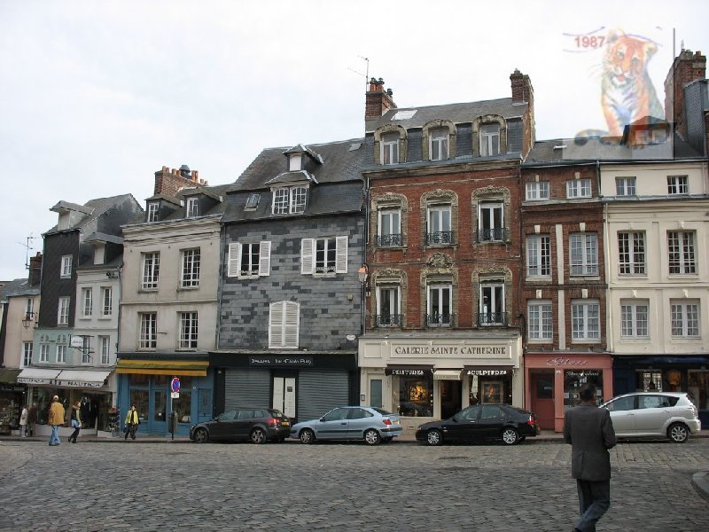 photo20.jpg